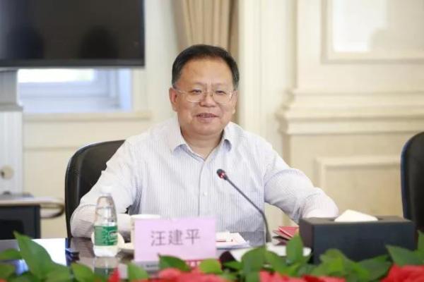 中國能源建設集團有限公司董事長、黨委書記汪建平