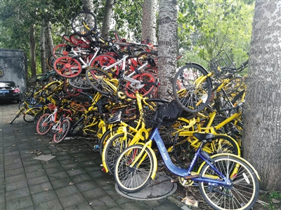 北京共享單車(chē)用戶(hù)上下班常一車(chē)難求:單車(chē)去哪了