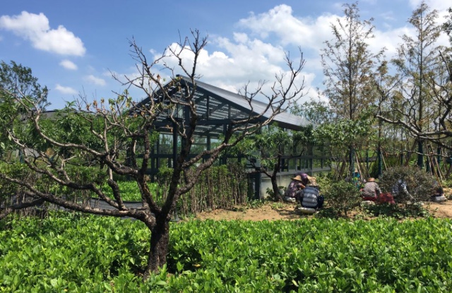 中國(guó)太陽(yáng)能企業(yè)協(xié)鑫建新能源小鎮(zhèn) 還想做電動(dòng)車