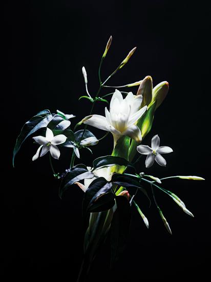 06. 暗夜華彩 綻放魅力魔法