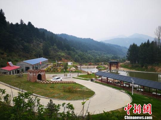 郭鳳鵬的林麝養(yǎng)殖場就坐落在海拔1500米的龐泉溝山坡地帶。　王瑞軍 攝
