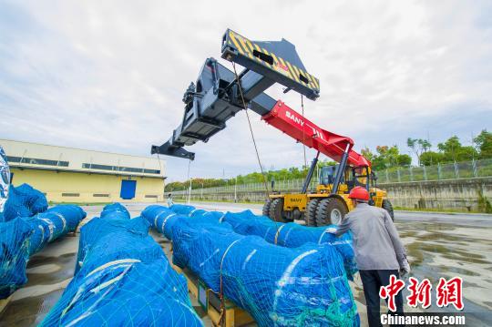 三峽保稅物流中心正在使用正面吊進(jìn)行設(shè)備出區(qū)裝載 楊青 攝