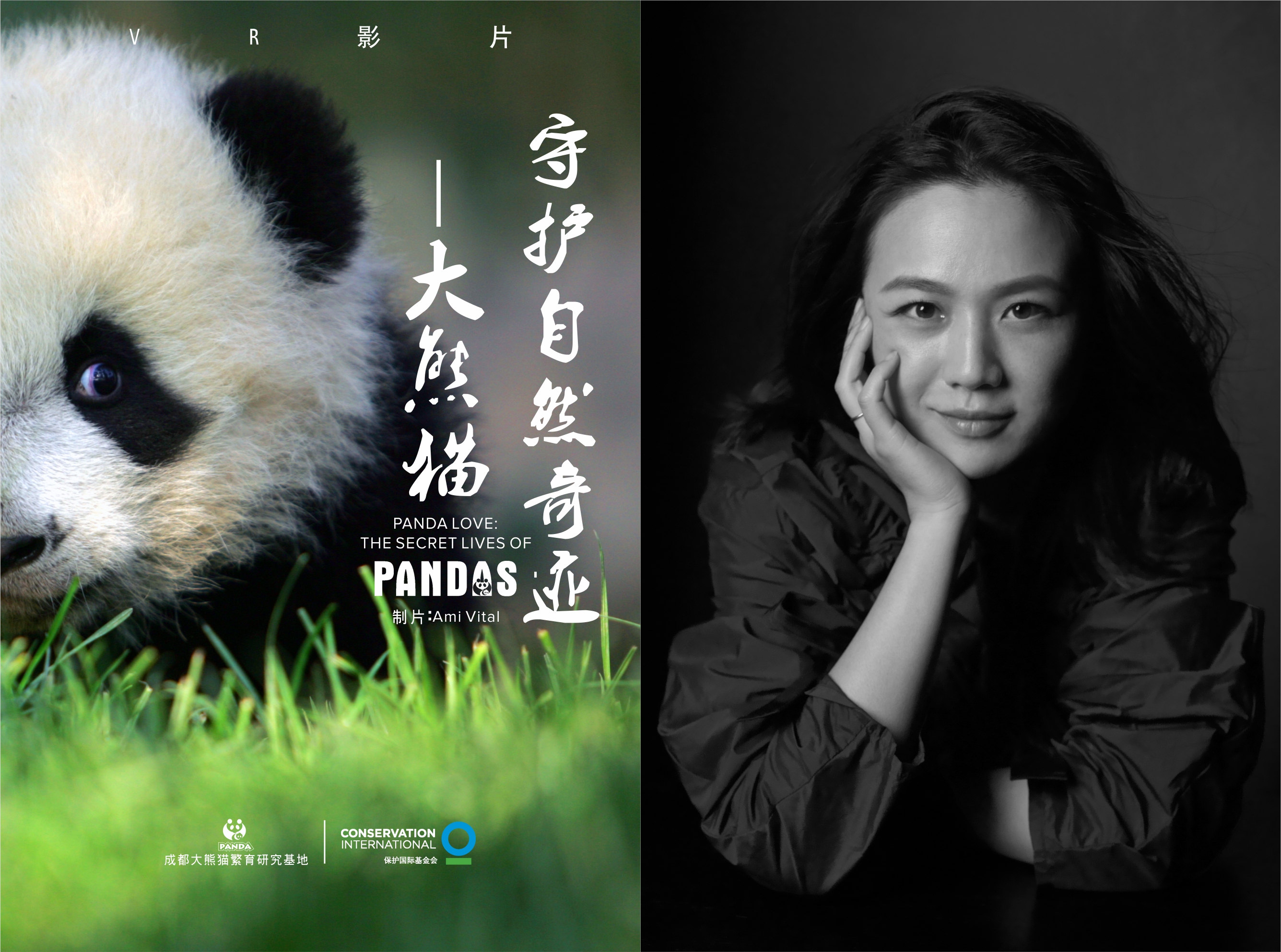 湯唯助力公益為愛(ài)發(fā)聲 倡導(dǎo)守護(hù)大熊貓