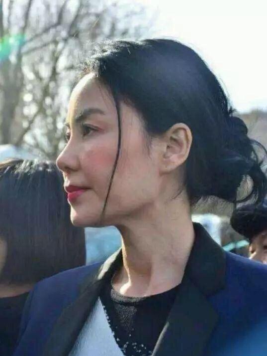 王菲真人秀酬勞近億？節(jié)目方辟謠：嘉賓片酬不實