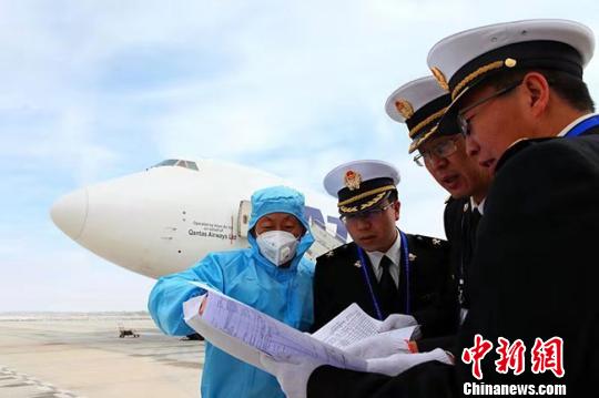 圖為蘭州海關(guān)對蘭州航空口岸進境羊駝開展監(jiān)管檢疫。(資料圖) 蘭州海關(guān)供圖 攝