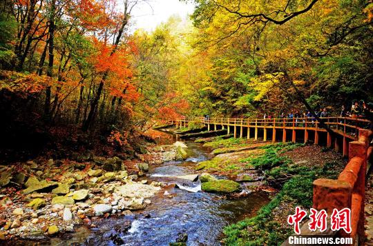 漢中在穗推介重點(diǎn)合作項(xiàng)目  簽約合同逾335億元