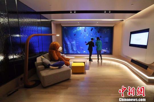 世茂深坑洲際酒店家庭套房，內(nèi)有巨型魚缸?！埡鄠?攝