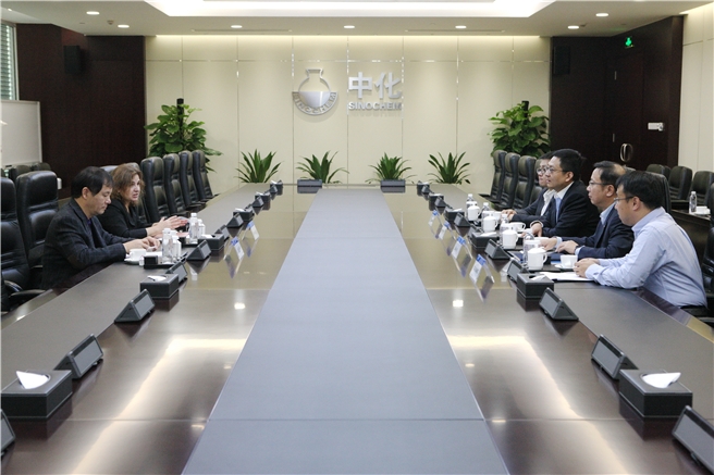 中化集團總裁張偉會見麻省理工學(xué)院人工智能實驗室主任Daniela Rus女士