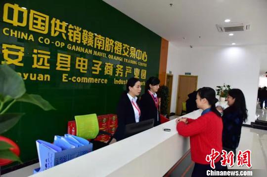 11月17日，贛南臍橙交易中心正式投入使用?！√汽惽?攝