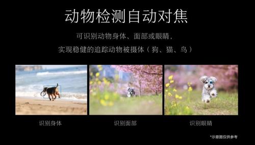 全畫幅微單推薦:佳能EOS R5