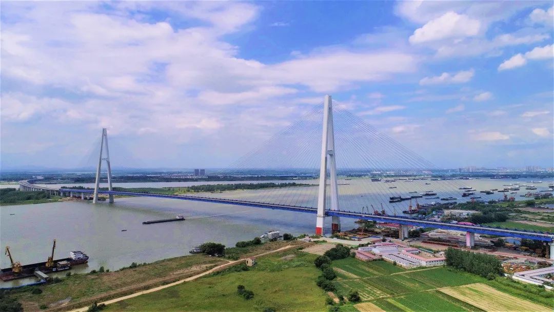 建設(shè)中的青山長江大橋