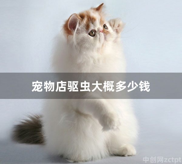 寵物店驅(qū)蟲大概多少錢 寵物驅(qū)蟲價格和方式一覽